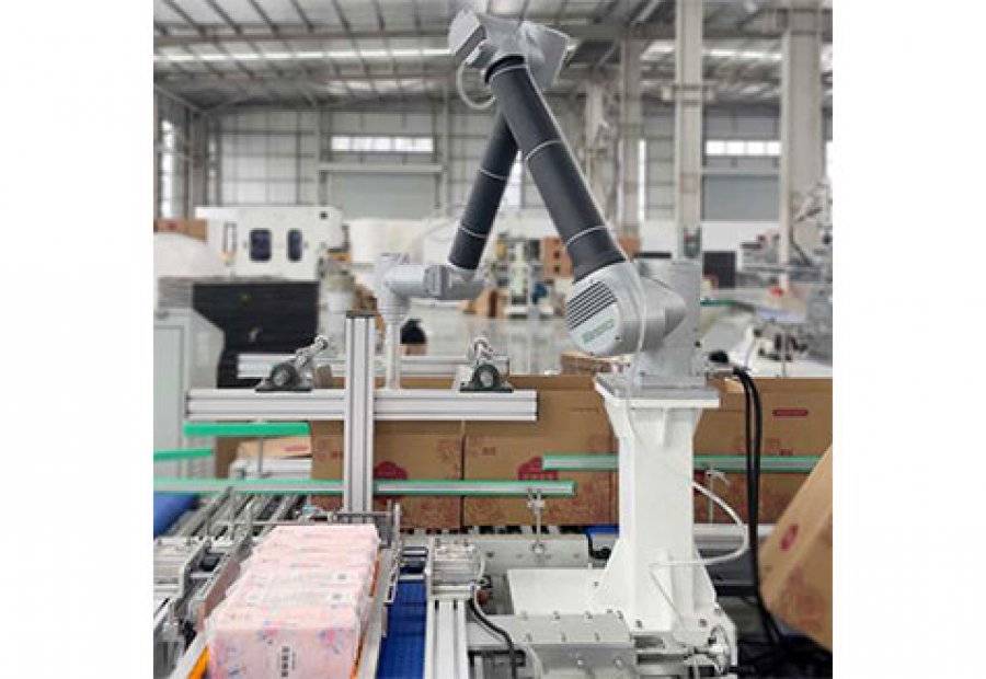 Robot Packing - Image 4