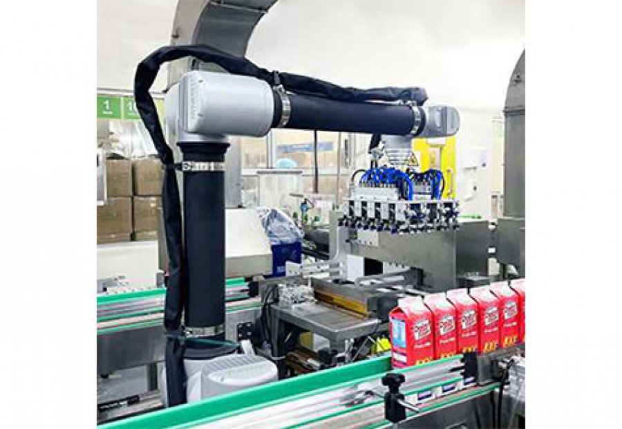 Robot Packing - Image 3